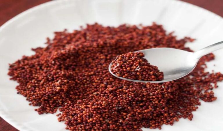 Superfood Ragi: गुणों की खान है ये सुपरफूड, फायदे जानकर हो जाएंगे हैरान, इसके बिना आपकी थाली है अधूरी