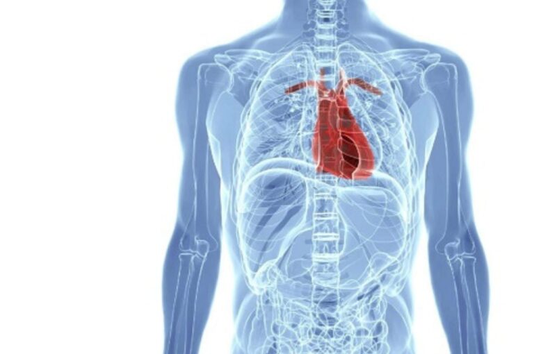 COPD: भूल कर भी न करे ये गलतियां,वरना आपकी एक गलती मौत के मुंह में ले जा सकती है