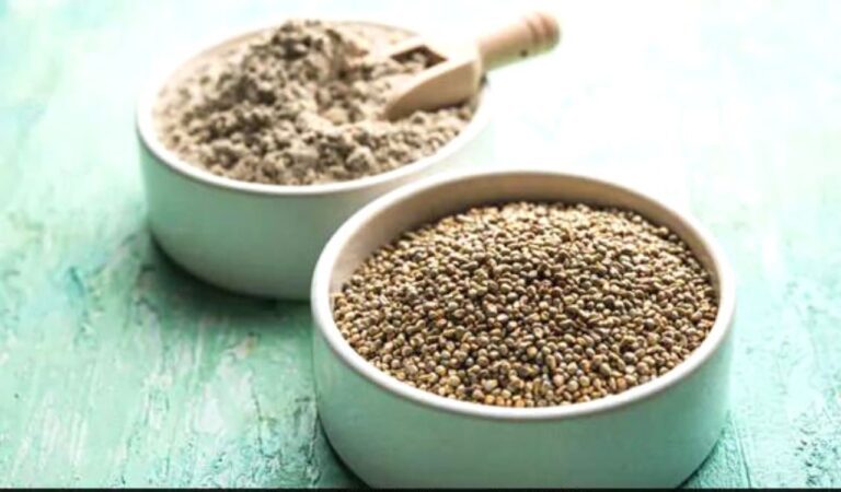 Bajra Benefits: सर्दियों के लिए सुपरफूड है बाजरा,फायदे जानकर आप भी हो जाएंगे इसके फैन