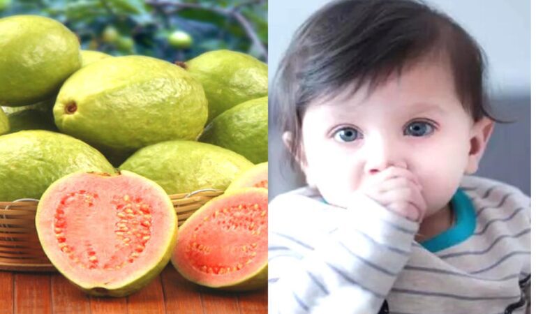 Guava benefits:सर्दियों में बच्चों के जिद्दी कफ को दूर करेगा अमरूद, जानें खाने का सही तरीका