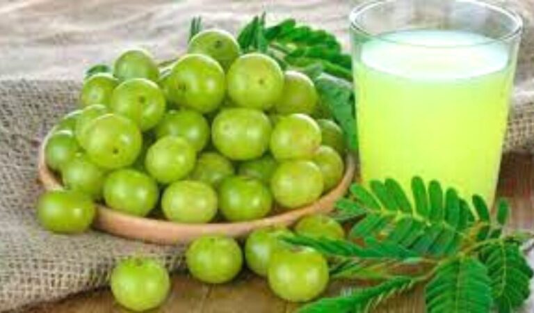 Amla Side Effects : इन लोगों को भूलकर भी नहीं करना चाहिए आंवला का सेवन, फायदे के जगह हो सकता है नुकसान