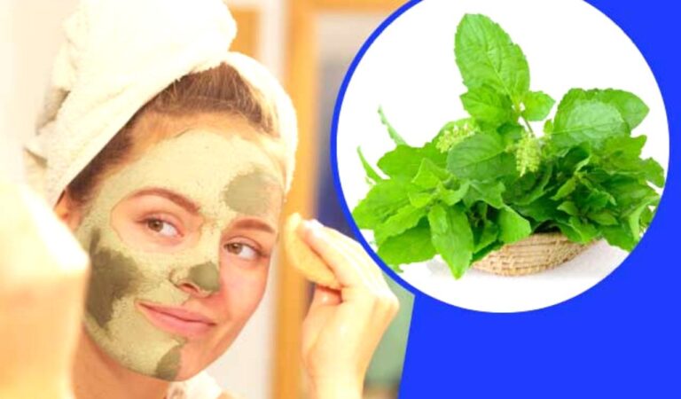 Skin Care: पिंपल्स से हैं परेशान तो बनाएं तुलसी वाला एंटी बैक्टीरियल फेस पैक,पाएं चमचमाती स्किन