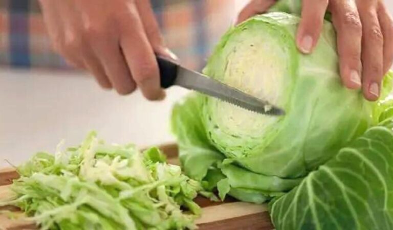 Cabbage Benefits: सेहत का खजाना है पत्ता गोभी, इन बीमारियों को करती है दूर,जानें