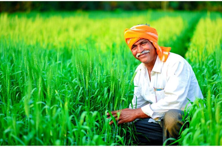 Farmer Schemes : किसानों को बंपर फायदा देती हैं सरकार की ये शानदार योजनाएं,देखें पूरी जानकारी