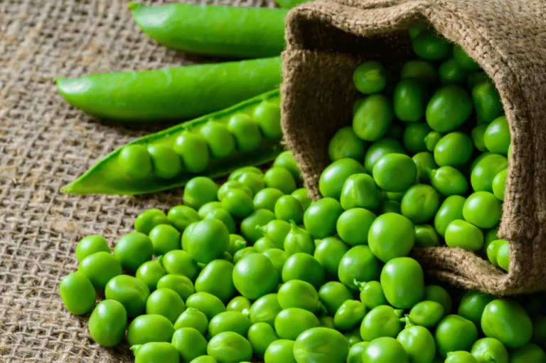 Pea Benefits: ठंड में इन समस्याओं से छुटकारा दिलाएगी मटर, जानें कैसे?