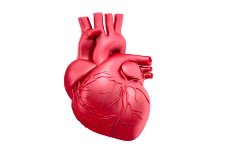 Healthy Heart Tips: अगर इन बातों का रखेंगे हमेशा ख्याल,तो कभी नहीं होंगे हृदय रोगों का शिकार,जानें