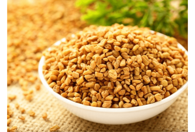 Fenugreek seed : स्वास्थ्य के लिए बेहद फायदेमंद है मेथी दाना, जानें इसके 5 बेहतरीन फायदें