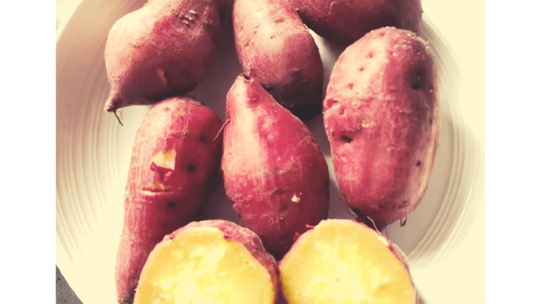 Shakarkand Benefits:सर्दियों में भूनकर शकरकंद खानें से होंगे चौंका देने वाले फायदें ,पढ़ें