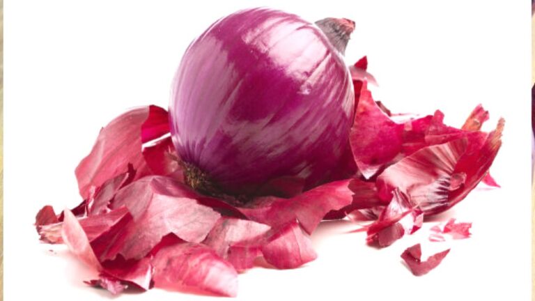 Onion Benefits: कच्चा प्याज खाने में आंखो की रोशनी बढ़ने के साथ मिलेंगे कई चमत्कारी फायदे,आज ही करें ट्राई, हफ्ते भर में  दिखेगा फर्क