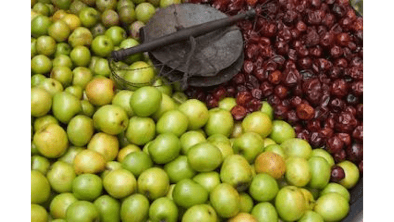 Ber Benefits:औषधीय गुणों से भरपूर है बेर, जानें इसके 5 अद्भुत फायदे