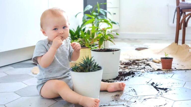 Child health tips: क्या आपका बच्चा भी खाता है मिट्टी, तो फॉलो करें ये टिप्स, तुरंत दिखेगा फायदा