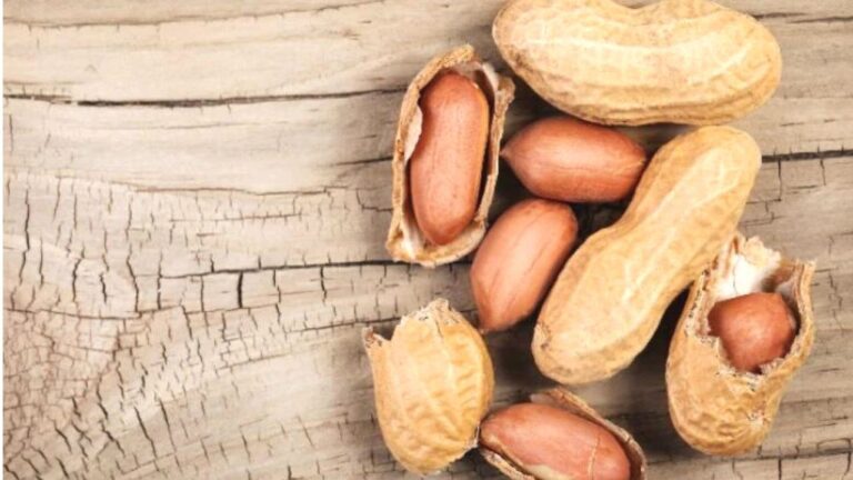 Peanut Benefits: बादाम से ज्यादा गुणकारी है मूंगफली! फायदे जानकर रह जाएंगे हैरान