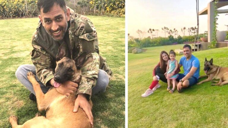 Ms dhoni: क्या आपने देखा माही का फाइव स्टार बंगला, खबूसूरती कर देगी दंग, देखें तस्वीरें