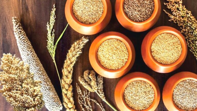 Health tips:अपनी थाली में मोटा अनाज करें इन,गेंहू और चावल करें आउट,हमेशा रहेंगे फिट,जानें कैसे