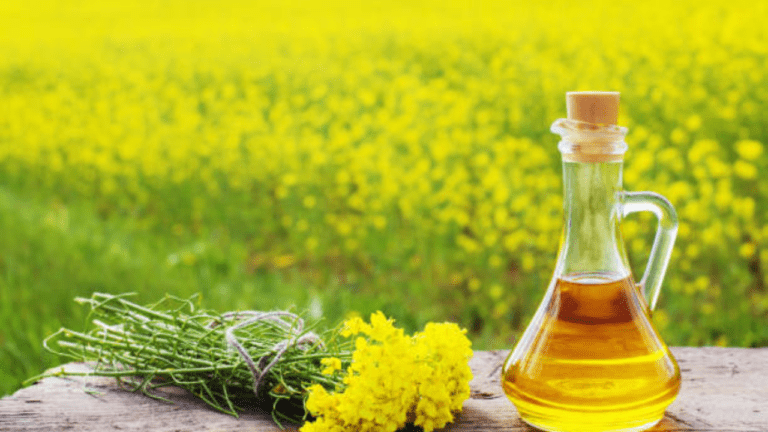 Good News: बढ़ती मंहगाई के बीच लौटी खुशखबरी, सस्ती हुआ खाद्य तेल, देखिए ताजा रिपोर्ट