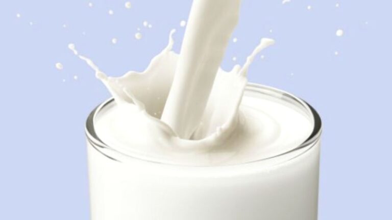 इन जानवरों का दूध स्वास्थ्य के लिए है बेहद फायदेमंद, कई गंभीर बीमारियों से दिलाता है निजात