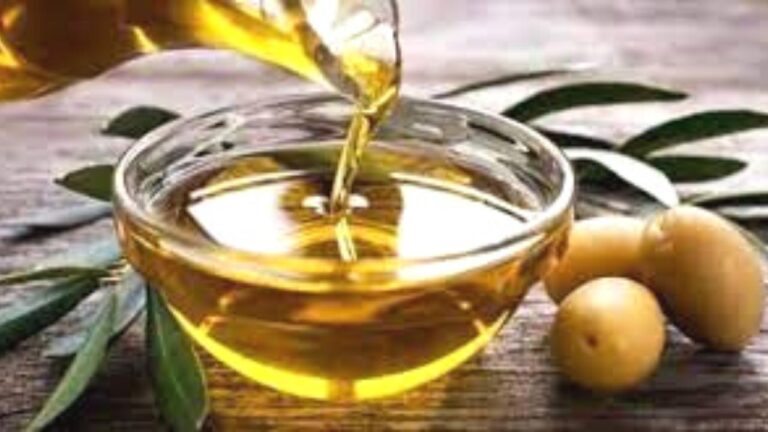 Olive Oil Benefits : त्वचा और बालों के लिए रामबाण है जैतून का तेल, बस इस तरह करें इस्तेमाल, मिलेगा डबल फायदा