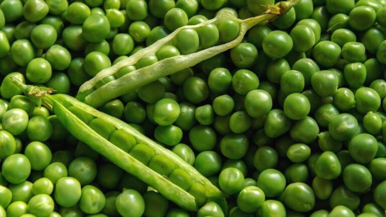 Pea Peel:मटर के छिलके में छिपे होते हैं सेहत के अनोखे फायदे ,जानें इस्तेमाल करने का सही तरीका