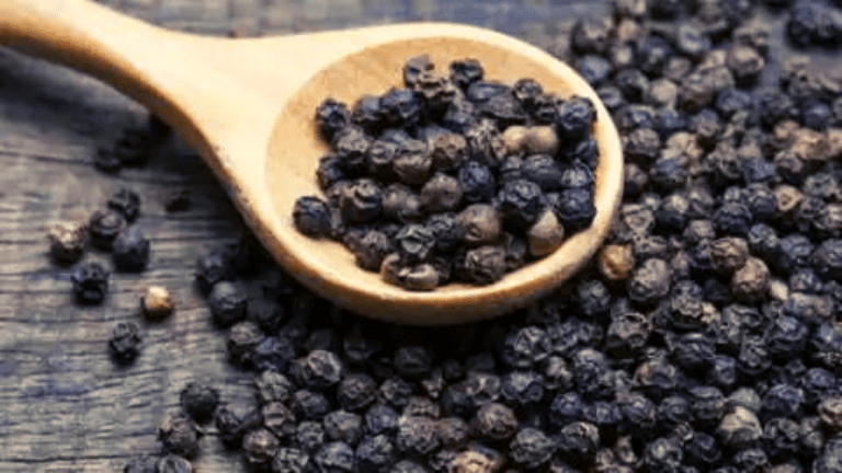 Black pepper :हेयरफॉल से लेकर इम्यूनिटी बढ़ाने तक, काली मिर्च एक फ़ायदे अनेक, पढ़ें