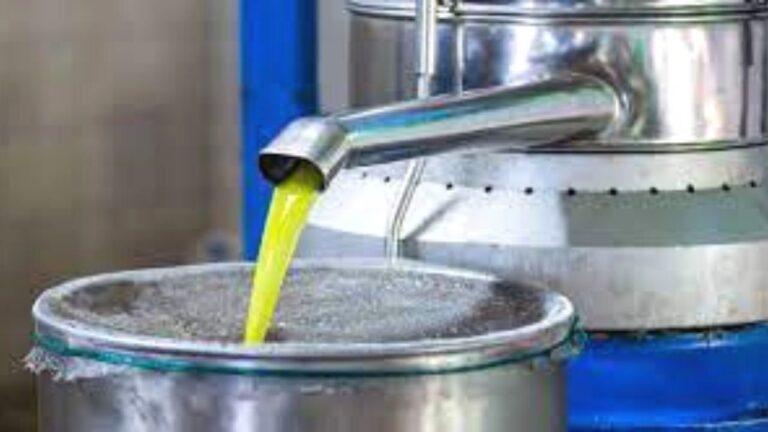 Business Idea: रातों रात बन जाएंगे अमीर ! अगर शुरू करेंगे ये बिजनेस, जानें