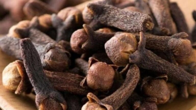 Cloves Benefits:अनेक बीमारियों का 100% समाधान है लौंग, जानें 7 जबरदस्त फ़ायदे