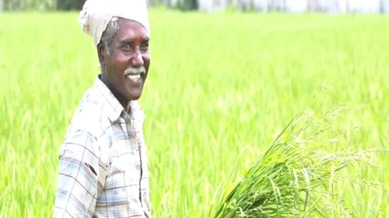 Farmer scheme: इस राज्य के किसानों को लाखों रुपए के पुरस्कार दे रही है सरकार,जानें कैसे मिलेगा लाभ