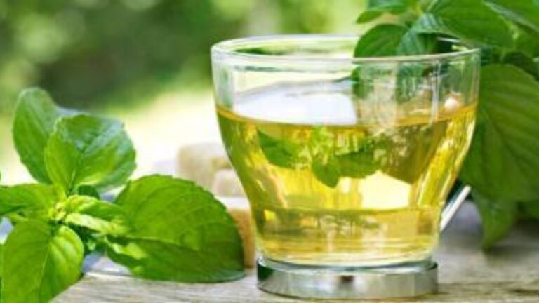 Green Tea: सावधान! कहीं आप सुबह उठते ही तो नहीं पीते ग्रीन टी? अगर हां तो पीने से पहले जान लें ये बात