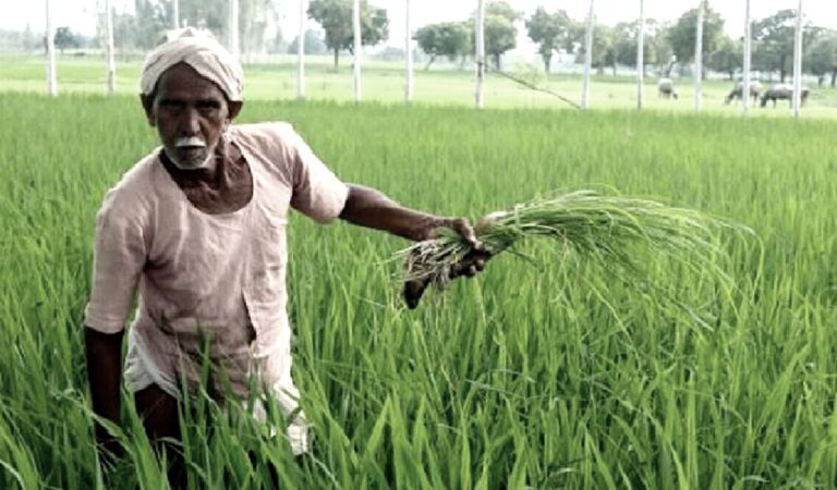 PKVY: जैविक खेती करने के लिए किसानों को 40 हजार का अनुदान दे रही है सरकार, ऐसे उठाएं लाभ