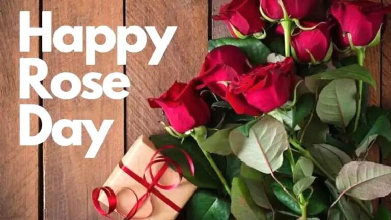 Rose Day पर अपनों से कहें अपने दिल की बात, जानें किसे दें किस रंग का गुलाब ?