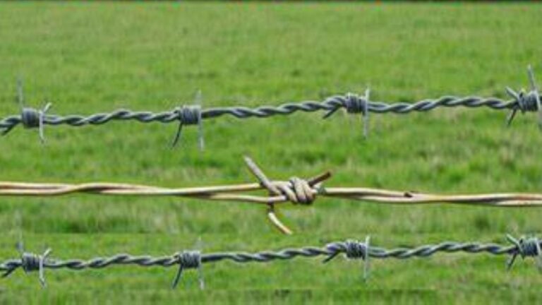 Tarbandi Yojna: आवारा पशुओं से फसलों की सुरक्षा के लिए सरकार ने शुरू की तारबंदी योजना,ऐसे करें आवेदन