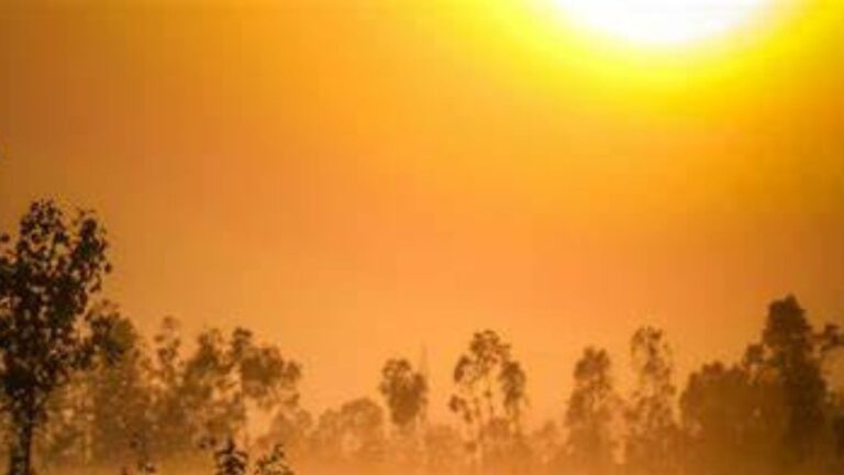 Weather Update: दिल्ली NCR में आज खुला रहेगा मौसम,इस दिन इन राज्यों में होगी बारिश,पढ़ें