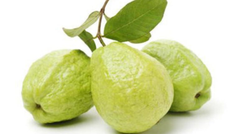 Guava benefits: अमरूद खाने के ये 5 फायदें जानकर चौंक जाएंगे आप, पढ़ें