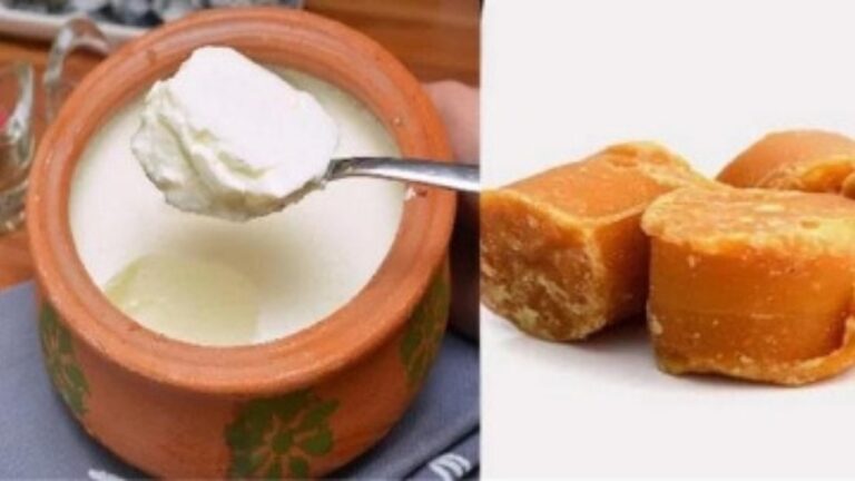 Jaggery With Curd: रोजाना दही में गुड़ मिलाकर करें सेवन, मिलेंगे ये 5 जबरदस्त फ़ायदे
