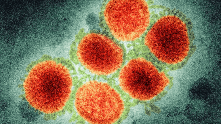 H3N2 Virus: सावधान! देश में तेजी से फैल रहा ये खतरनाक वायरस, 26 मार्च तक स्कूल हुए बंद,जानें क्या हैं लक्षण