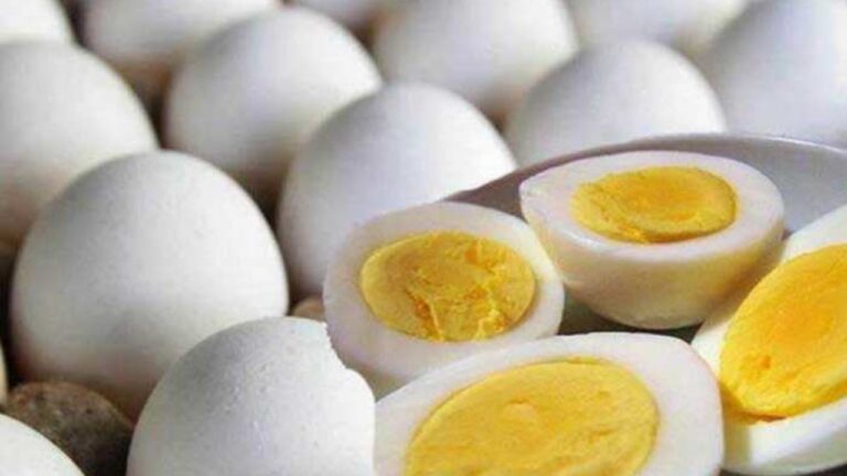 Egg Benefits: “संडे हो या मंडे रोज खाओ अंडे”, जानें रोजाना अंडे खानें के 5 फायदें