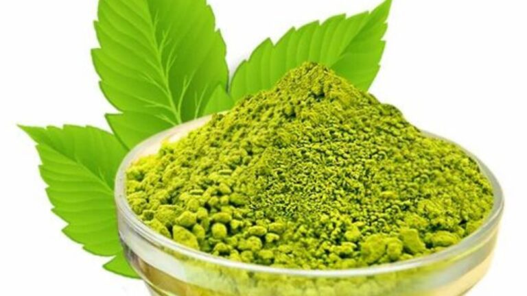 Henna Benefits: बालों के लिए किसी भी वरदान से कम नहीं है मेहंदी, जानें इसके अमेजिंग फायदे