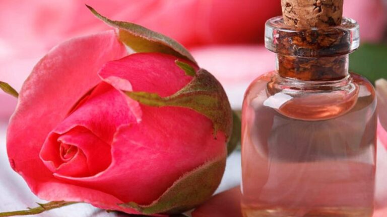 Rose water benefits: हेल्दी और ग्लोइंग स्किन के लिए जरूर इस्तेमाल करें गुलाब जल, जानें अनगिनत फायदे