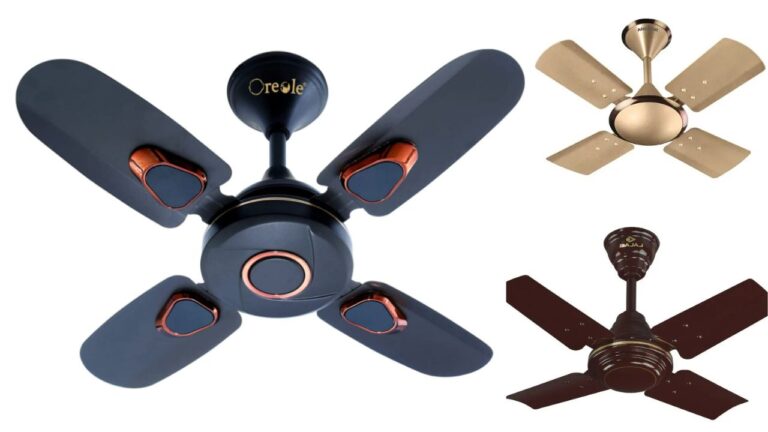Mini Ceiling Fan: छोटे साइज वाले ये पंखे कूलिंग के मामले में है बेजोड़, घर को बना देंगे बर्फ, तुरंत खरीद लें नहीं तो बाद में करेंगे अफसोस