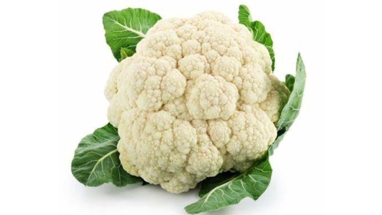 Farming Tips: 2 फसलों के बीच में करें इन बेहतरीन सब्जियों की खेती, होगी मोटी कमाई,पढ़ें पूरी जानकारी