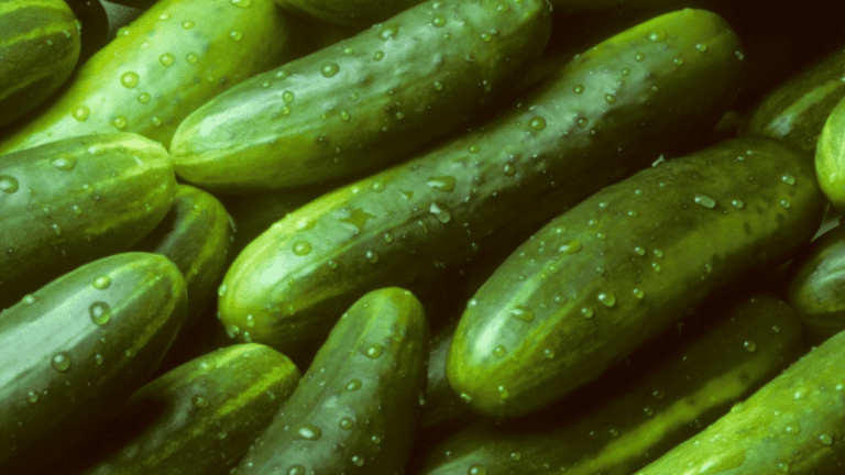 Cucumber Bitterness : खीरे के कड़वेपन से हो रही है परेशानी,तो इन आसान टिप्स को करें फॉलो,चुटकियों में दूर होगा कड़वापन