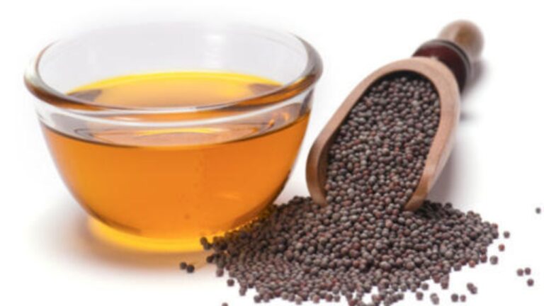 Mustard Oil Price Todey: सरसों के तेल में गिरावट जारी,चेक करें अपने शहर में आज का ताजा भाव