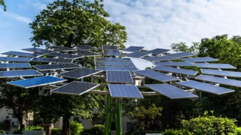 Solar tree: देश में इस जगह लगेंगे सोलर ट्री, जानें क्या होते हैं और हमारे लिए क्यों हैं जरूरी