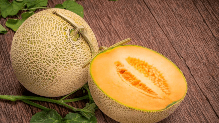 Benefits of Muskmelon: इम्युनिटी बढ़ाने से लेकर दिल को हेल्दी बनाने तक के लिए खरबूजा है बहुत फायदेमंद, बस ऐसे करें सेवन