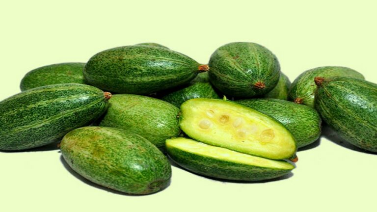 Parwal benefits in summer: गर्मियों के लिए बेस्ट सब्जी है पानी से भरपूर परवल , जानें इसके बेजोड़ फायदे