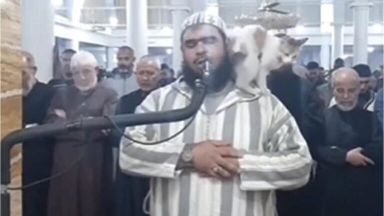 Viral video:रमज़ान की नमाज़ पढ़ रहे थे इमाम, अचानक कूदी बिल्ली, आगे जो हुआ यकीन नहीं करेंगे आप