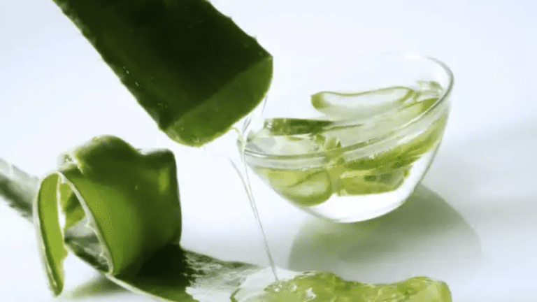 Aloevera for teeth : चाहते हैं चांदी जैसा चमकीला दांत, तो टूथपेस्ट की जगह एलोवेरा जेल से करें सफाई,पढ़ें डिटेल