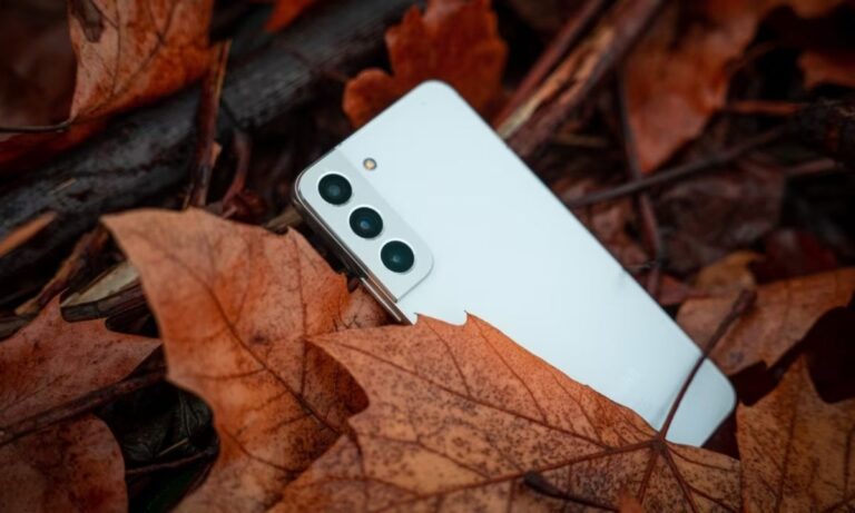 Discount on Samsung phones: सेमसंग के स्मार्टफोन्स पर मिल रही है तगड़ी छूट, आधी कीमत में खरीदने का है मौका, देखें डिटेल