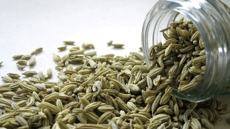 Fennel Seeds Benefits : वजन घटाने से लेकर हृदय को स्वस्थ रखने में सहायक हैं ये गुणकारी सौंफ, जानें सेवन का सही तरीका