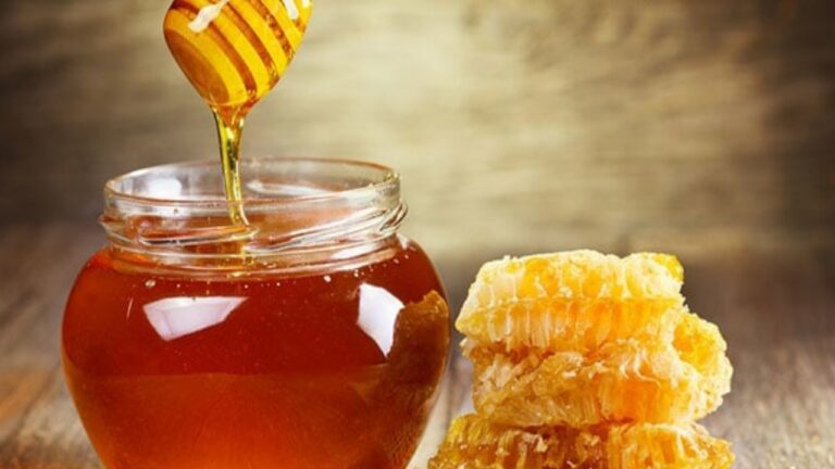 Benefits of Honey: गर्मियों में सेहत के लिए शहद नहीं है किसी वरदान से कम,पढ़ें इसके अचूक फायदे