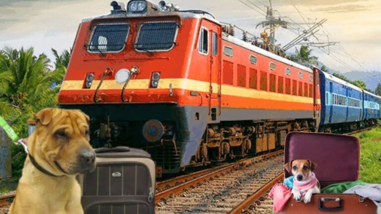 New Rule Railways: पालतू कुत्ते और बिल्ली को ट्रेन में ले जाने के बदलेंगे नियम,पढ़ें पूरी ख़बर